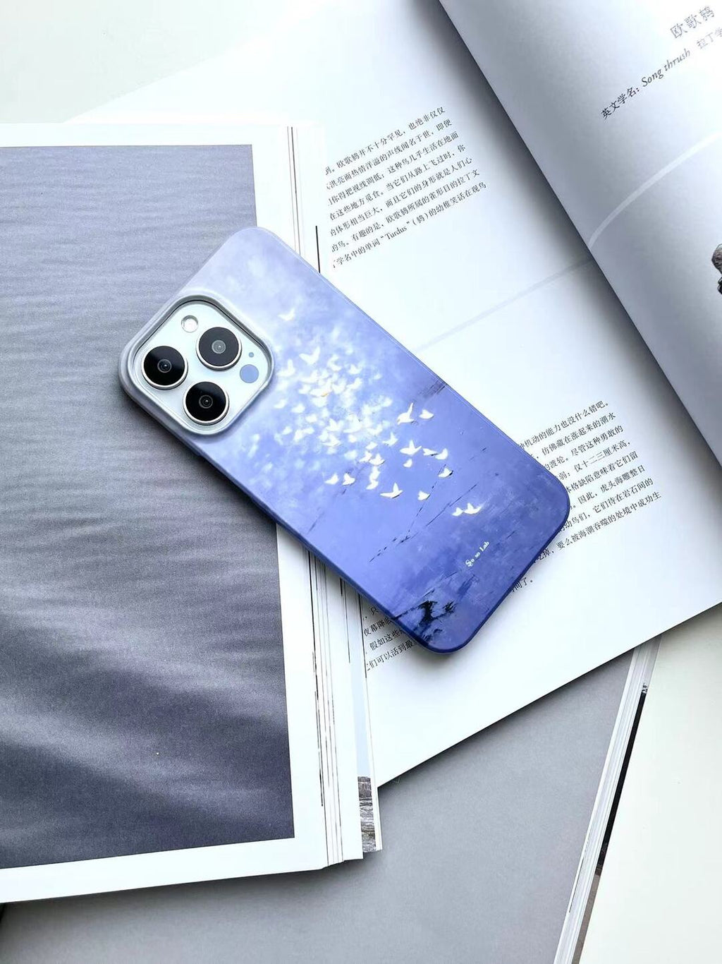 Flying Birds Impressionist Artistic Phone Case Film Print- SSL